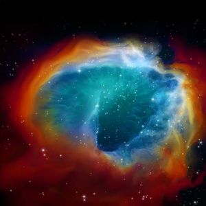 Meet your Posher, Nathan